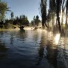 XOCHIMILCO EN KAYAK